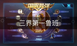 王者91星直播,巅峰对决，精彩瞬间回顾